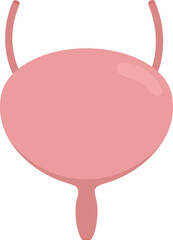 Flat vector Human Bladder EPS