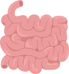 Flat vector Human Small Intestine EPS