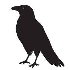 Fototapeta premium Raven in cartoon, doodle style . Image for t-shirt, web, mobile apps and ui. Isolated 2d vector illustration in logo, icon, sketch style, Eps 10, black and white. AI Generative