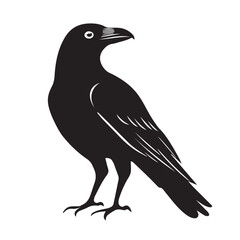 Obraz premium Raven in cartoon, doodle style . Image for t-shirt, web, mobile apps and ui. Isolated 2d vector illustration in logo, icon, sketch style, Eps 10, black and white. AI Generative