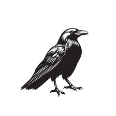 Fototapeta premium Raven in cartoon, doodle style . Image for t-shirt, web, mobile apps and ui. Isolated 2d vector illustration in logo, icon, sketch style, Eps 10, black and white. AI Generative