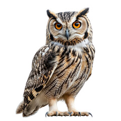 Majestic Owl with Intense Gaze - A Symbol of Wisdom and Mystery.