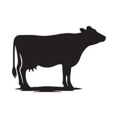 Silhouette of Cow, silhouette or illustration of a cow or buffalo, Ideal for farm, ranch branding. Perfect for logos, decals. Black, white background. 