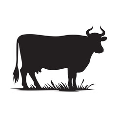 Silhouette of Cow, silhouette or illustration of a cow or buffalo, Ideal for farm, ranch branding. Perfect for logos, decals. Black, white background. 