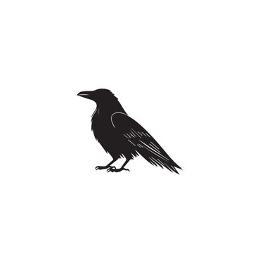 recommend clip art: Raven in cartoon, doodle style . Image for t-shirt, web, mobile apps and ui. Isolated 2d vector illustration in logo, icon, sketch style, Eps 10, black and white. AI Generative