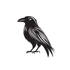 Obraz premium Raven in cartoon, doodle style . Image for t-shirt, web, mobile apps and ui. Isolated 2d vector illustration in logo, icon, sketch style, Eps 10, black and white. AI Generative
