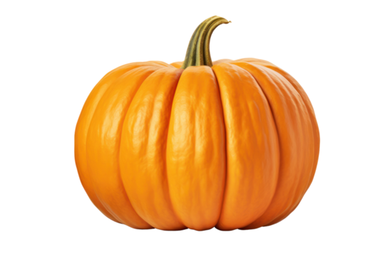 Realistic image of an orange pumpkin, isolated on a white background.