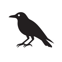Fototapeta premium Raven in cartoon, doodle style . Image for t-shirt, web, mobile apps and ui. Isolated 2d vector illustration in logo, icon, sketch style, Eps 10, black and white. AI Generative