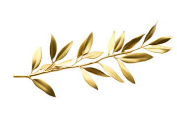 Photo of an olive branch decorated with gold leaf, isolated on a white background.
