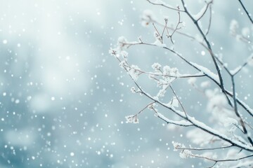 Snow-Covered Branches Against a Blurred Winter Background