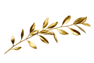 Photo of an olive branch decorated with gold leaf, isolated on a white background.