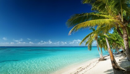  Tropical paradise with palm trees and calm turquoise water