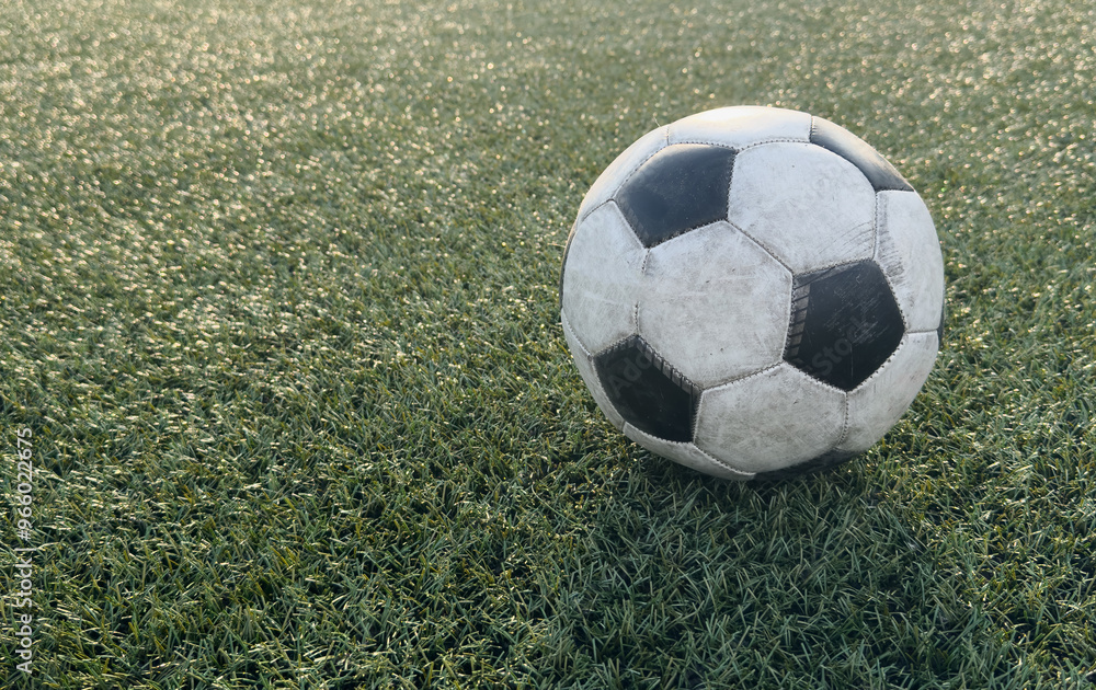 Wall mural top view of football on green field, soccer ball on grass