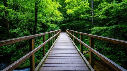 Wooden bridge crossing over a stream in a forest, canopy of trees above, peaceful ambiance