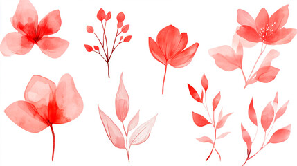 Delicate Illustration of Different Flowers in Watercolor, in Warm Colors