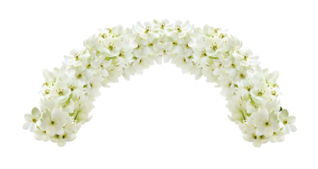 White ornithogalum flowers in a floral arch arrangement isolated on white or transparent background