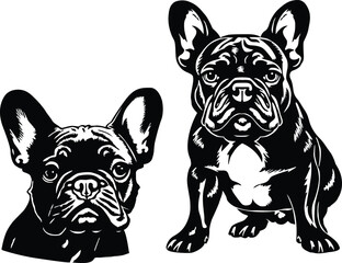 Strong bulldog vector illustration for digital art, vector, cartoon, clipart, and line art designs.