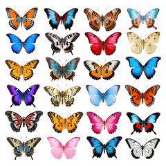 Butterfly png element set, transparent background