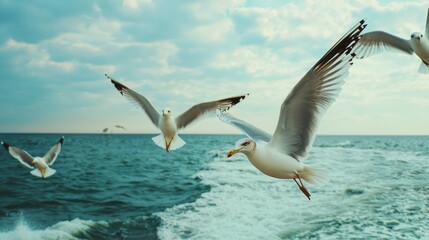 Majestic Seagulls Soaring over the Vast Ocean Horizon