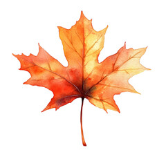 Naklejka premium A Single Maple Leaf, a Symbol of Autumn's Golden Hues.