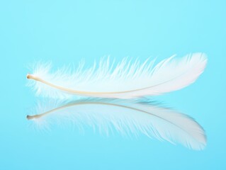 Ethereal Feather: Symbol of Lightness and Serenity on Reflective Surface