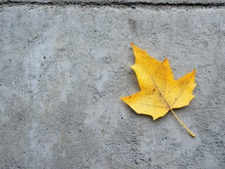 Serene Autumn Vibes: Lone Yellow Leaf on Urban Textured Concrete