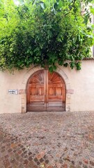 Old handmade wooden door