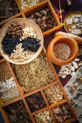 Diverse Collection of Traditional Herbs and Spices in Elegant Display