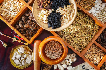 Vibrant Assortment of Dried Herbs and Spices for Culinary Arts