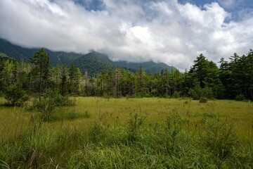 Obraz premium 夏の上高地，遊歩道の景観／長野県