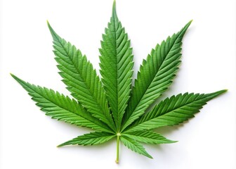 Green Cannabis Leaf On A White Background, Symbolizing Wellness, Relaxation, And Medical Uses