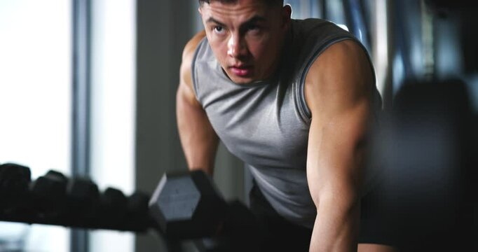 Dumbbell row, workout and man doing arm exercise, muscular growth or bench fitness routine, challenge or focus. Discipline, gym mindset and determined person, athlete or bodybuilder training muscle