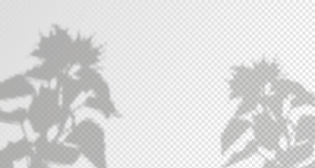 Blurred shadows from leaves and plants in the room. Soft overlay of natural light. Abstract background for product presentation.Natural light layout.