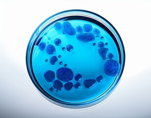 A petri dish filled with blue liquid.