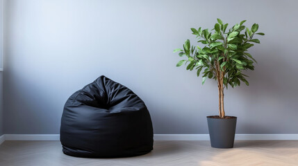 A black bean bag chair sits next to a houseplant in a room with light gray walls. There's room for writing something here.