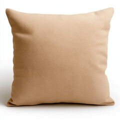 Velvet Cushion Isolated