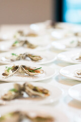 close up of oysters on white plates
