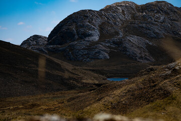Lago oasis