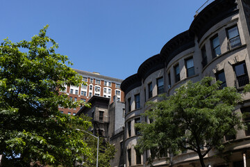 Naklejka premium Row of Old Brownstone Homes on the Upper West Side of New York City during Summer