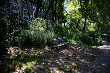 Shaded Bench at Riverside Park on the Upper West Side of New York City during the Summer