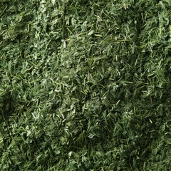Fototapeta premium Dry dill pile texture background. Dried fennel pattern, crushed seasoning, dill weed powder