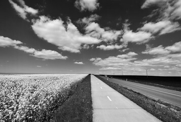 Black and white road field landscape sky clouds