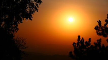 Baumsilhouetten im Sonnenaufgang, orangen Morgenhimmel (2)
