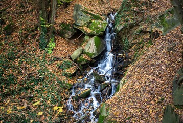 waterfall in the forest