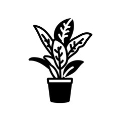 Croton Glyph Icon, Vector illustration