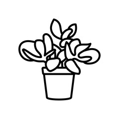 Jade Plant Outline Icon, Vector illustration