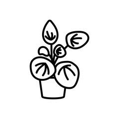 Pilea Plant Outline Icon, Vector illustration