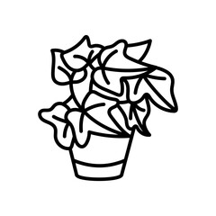 English Ivy Outline Icon, Vector illustration