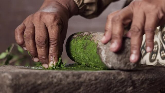 An Asian woman grinds leaves from the henna tree to make henna paste