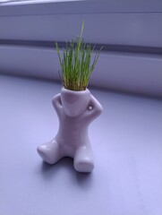 Plant in a goofy flowerpot. Minimalistic window decoration. Mohawk made of grass. Punk rock figure. Creative funny art.